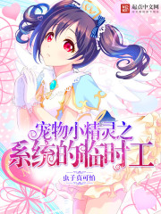 宠物小精灵之系统的临时工