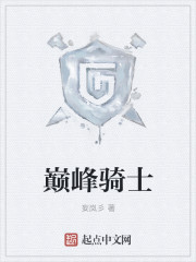 巅峰骑士
