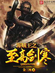 海贼王之至高剑豪