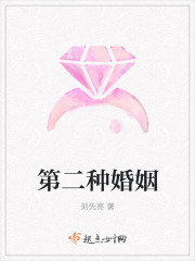 第二种婚姻