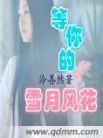 等你的雪月风花