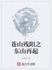 苍山残阳之东山再起