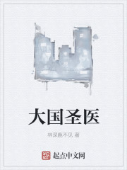 大国圣医