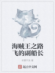 海贼王之路飞的副船长