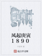 风起庚寅1890