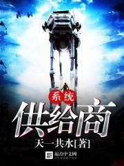 系统供给商