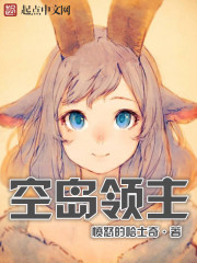 空岛领主