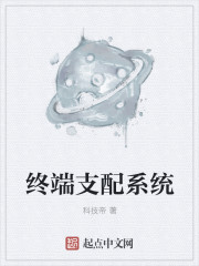 终端支配系统