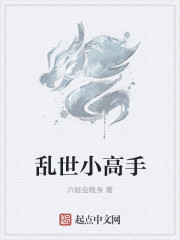 乱世小高手