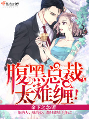 腹黑总裁，太难缠！