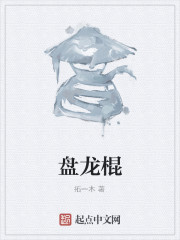 盘龙棍