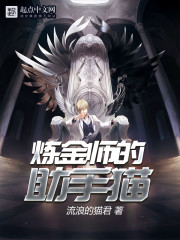 炼金师的助手猫