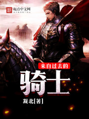 来自过去的骑士