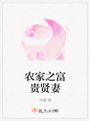 农家之富贵贤妻
