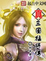 真三国猛将传