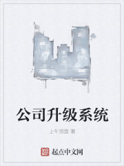 公司升级系统