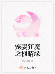 宠妻狂魔之枫晴缘