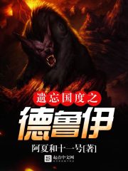 遗忘国度之德鲁伊