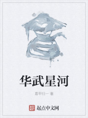 华武星河