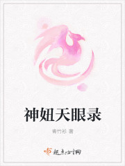 神妞天眼录
