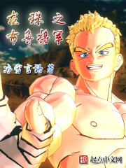 龙珠之布鲁将军