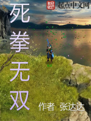 死拳无双