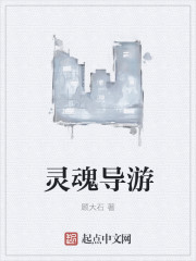 灵魂导游