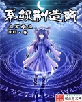 系统制造商