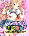 宫小路瑞穗的野望