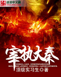 宰执大秦