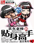 美女老师的贴身高手