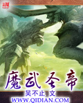 魔武圣帝