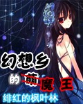 幻想乡的魔王