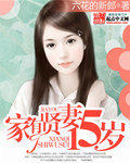 家有贤妻十五岁