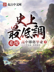 史上最低调系统