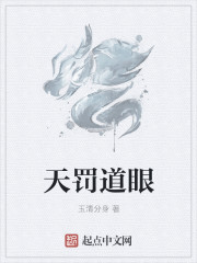 天罚道眼