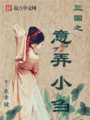 三国之意弄小刍