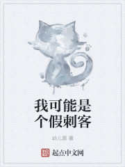 我可能是个假刺客