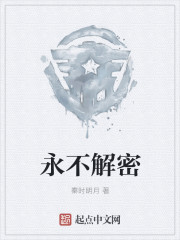 永不解密