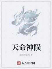 天命神陨