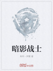 暗影战士