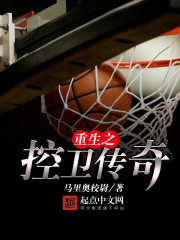 重生之控卫传奇