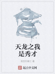 天龙之我是秀才