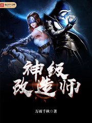 神级改造师