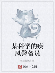 某不科学的疾风警备员