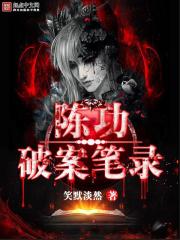 陈功破案笔录