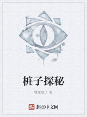 桩子探秘