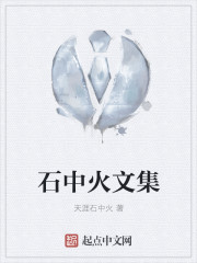 石中火文集