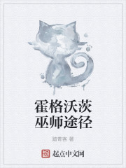 霍格沃茨巫师途径