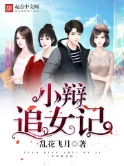 小辩追女记